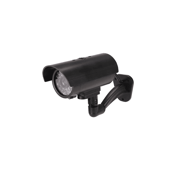 Donec ullamcorper turpis - Image 2